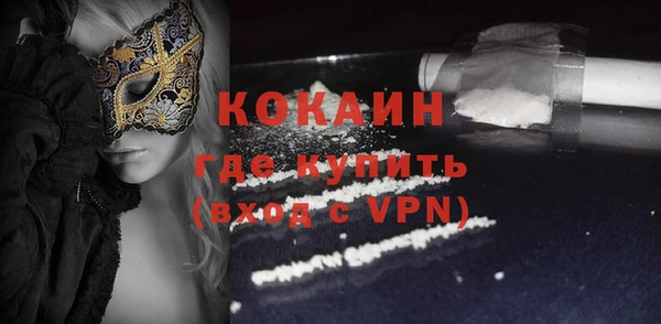 шишки Осинники