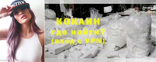 метадон Алексин