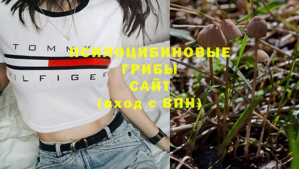 ГАЛЛЮЦИНОГЕННЫЕ ГРИБЫ Алзамай