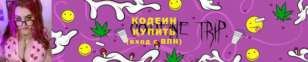 ГАЛЛЮЦИНОГЕННЫЕ ГРИБЫ Алзамай