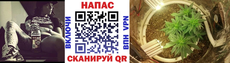 купить наркотик Анжеро-Судженск МЕГА онион Бошки марихуана марихуана